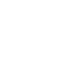 google plus